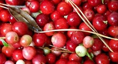 Rezepte, Rezepte