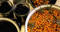 Rezepte, Rezepte